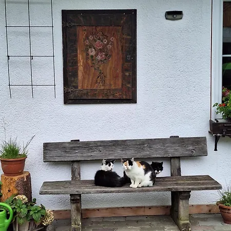 Appartement Boabauer Tamsweg