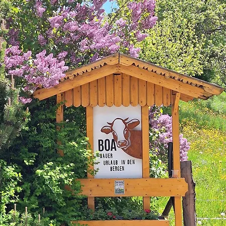 Boabauer Appartement